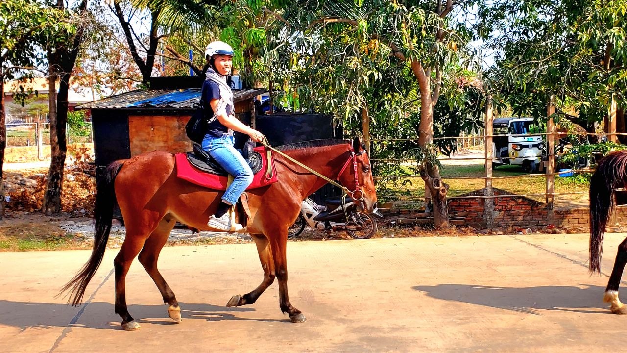馬車とバギーで巡り＋センターアンコールでショッピング、さらに伝統的な革細工（レザークラフト）体験が楽しめる1日ツアー