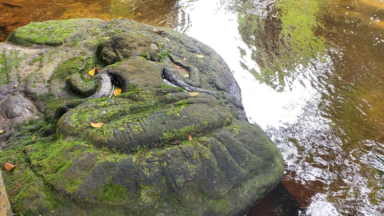 tour_182_1781616039.jpg