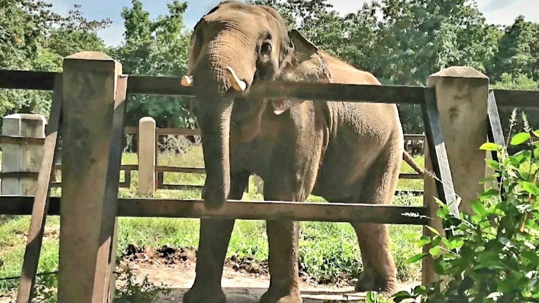 タマウ野生動物保護区